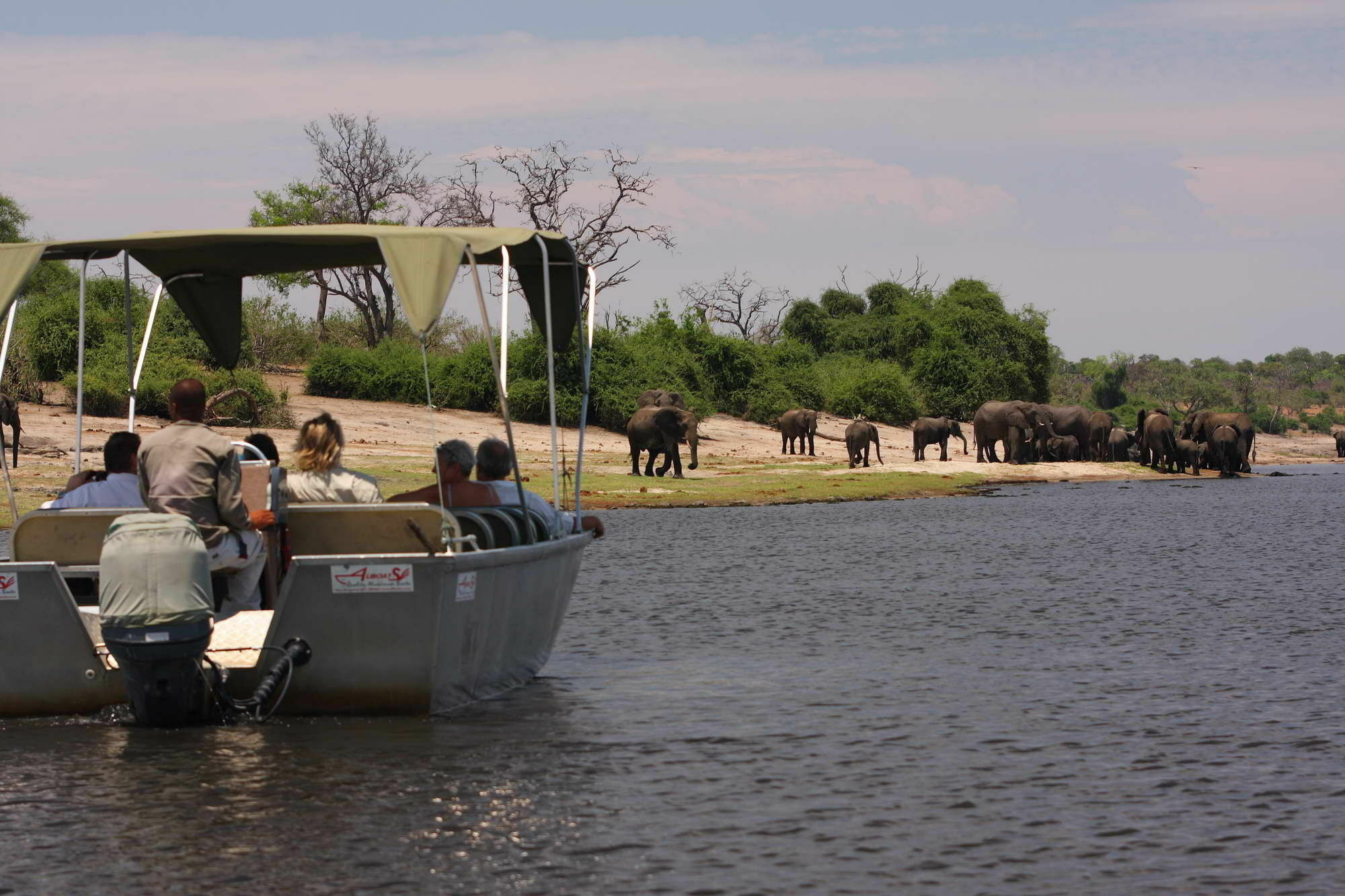 Elephant Valley Lodge Касане Екстериор снимка