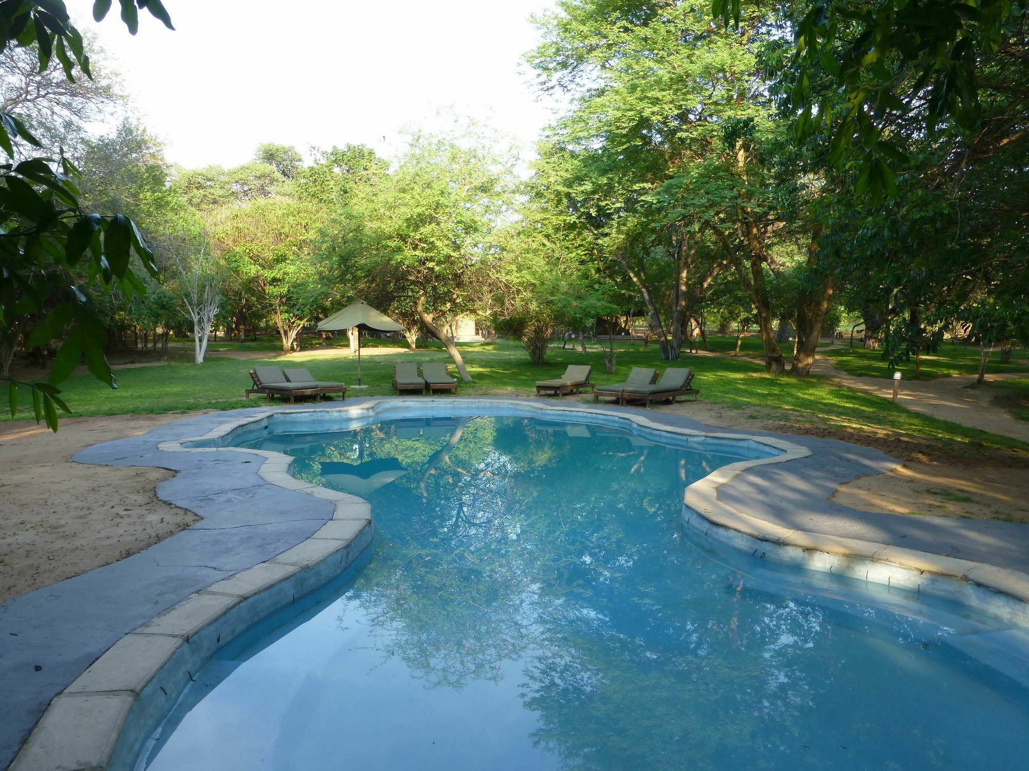 Elephant Valley Lodge Касане Екстериор снимка